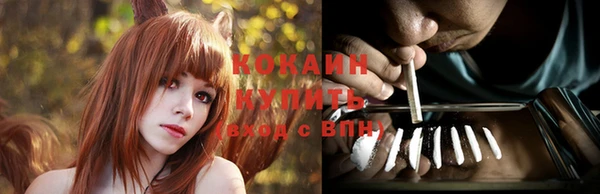 стафф Арсеньев