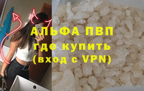 стафф Арсеньев