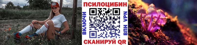 купить наркотики сайты  Струнино  Галлюциногенные грибы MAGIC MUSHROOMS 